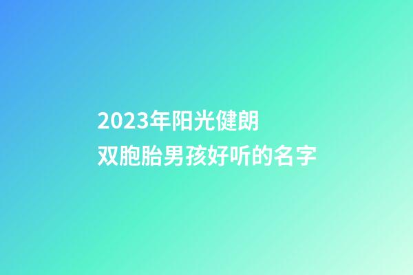 2023年阳光健朗 双胞胎男孩好听的名字